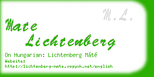 mate lichtenberg business card